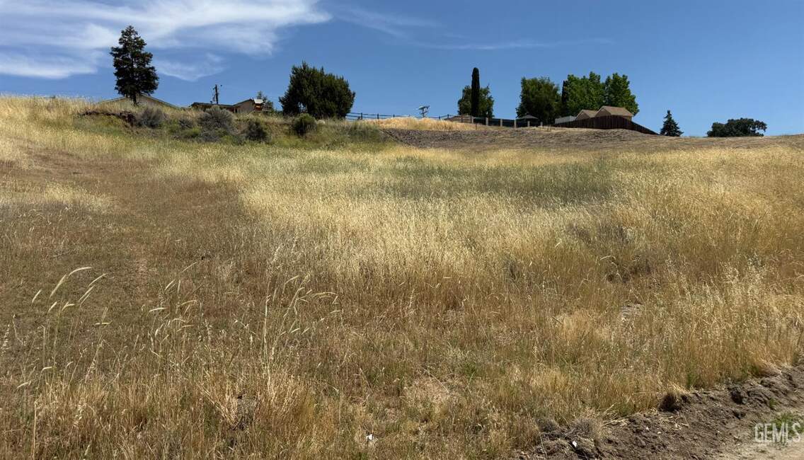 22208 Mariposa Road property photo 5