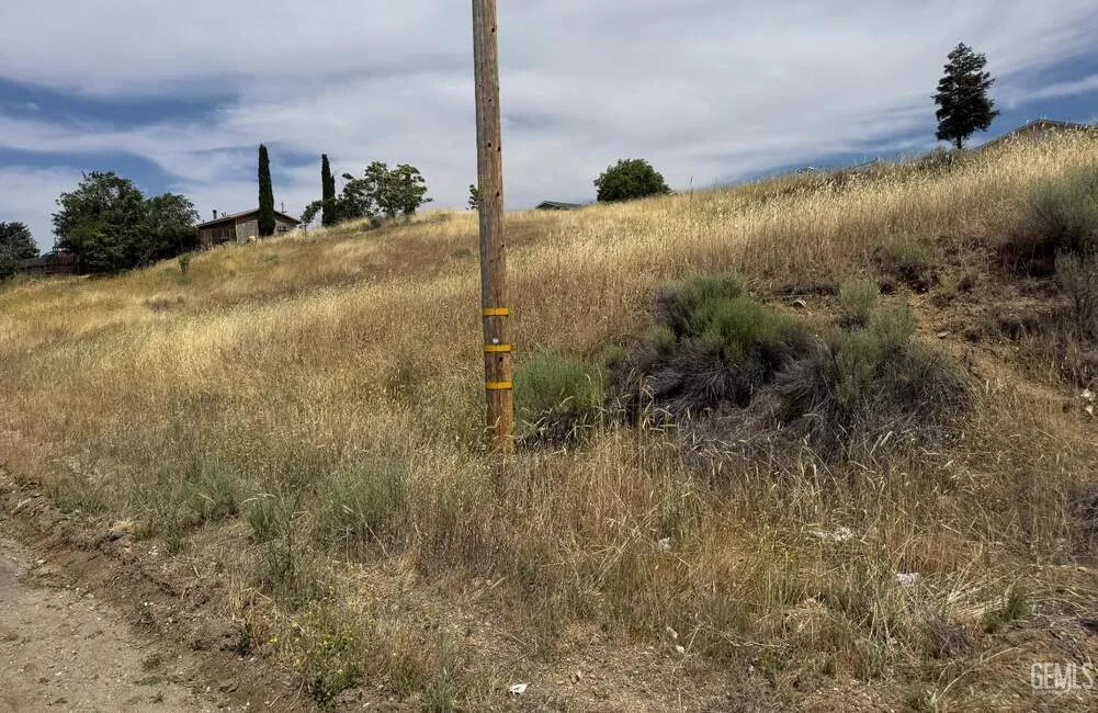 22208 Mariposa Road photo 1
